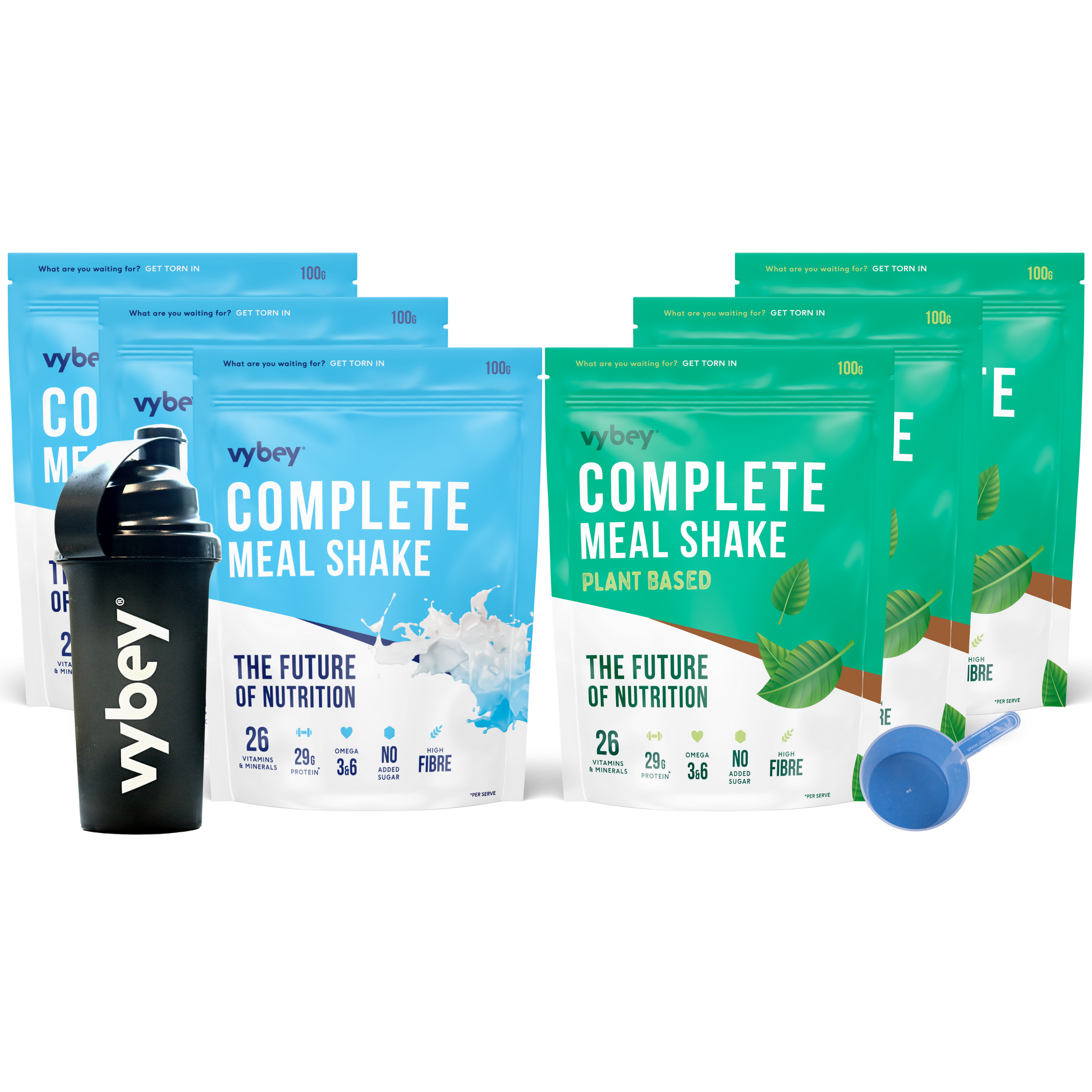 Organic Plant Protein Starter Bundle with Blender Bottle